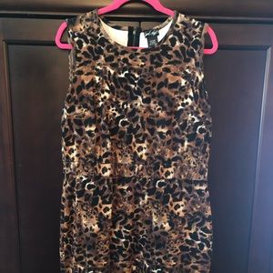 Size 14 Lord and Taylor Dress